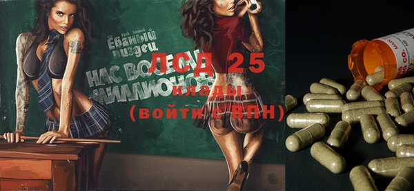 молекула духа Каменск-Шахтинский