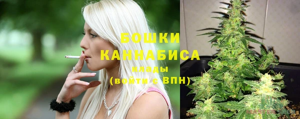 эйфоретик Каменка