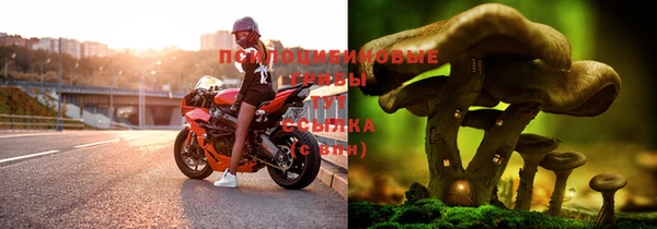 молекула духа Каменск-Шахтинский