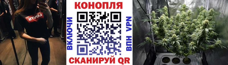 Купить где  Егорьевск  МАРИХУАНА AK-47 